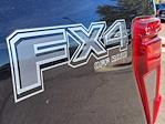 New 2024 Ford F-150 XLT SuperCrew Cab 4x4, Pickup for sale #FF186008 - photo 8