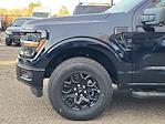 New 2024 Ford F-150 XLT SuperCrew Cab 4x4, Pickup for sale #FF187779 - photo 6