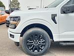 New 2024 Ford F-150 XLT SuperCrew Cab 4x4, Pickup for sale #FF188269 - photo 6