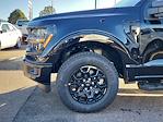 New 2024 Ford F-150 XLT SuperCrew Cab 4x4, Pickup for sale #FF188444 - photo 6