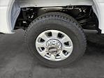 2024 Ford F-350 Crew Cab SRW 4x4, Pickup for sale #REE24481 - photo 10