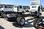 New 2025 Chevrolet LCF 5500HG Regular Cab 4x2, Cab Chassis for sale #C5284 - photo 2