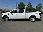 2024 Ford F-150 SuperCrew Cab 4WD, Pickup for sale #FE17008 - photo 5