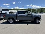 2024 Ford F-150 SuperCrew Cab 4WD, Pickup for sale #FE29590 - photo 8