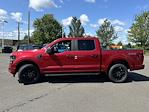 2024 Ford F-150 SuperCrew Cab 4WD, Pickup for sale #FE57387 - photo 5