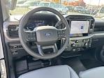 2024 Ford F-150 Regular Cab 4WD, Pickup for sale #FF14186 - photo 20