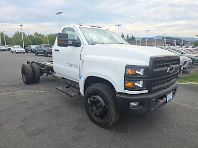 2024 Chevrolet Silverado 5500 Regular Cab DRW 2WD, Cab Chassis for sale #PP11000 - photo 1