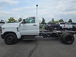 2024 Chevrolet Silverado 5500 Regular Cab DRW 2WD, Cab Chassis for sale #PP11000 - photo 5