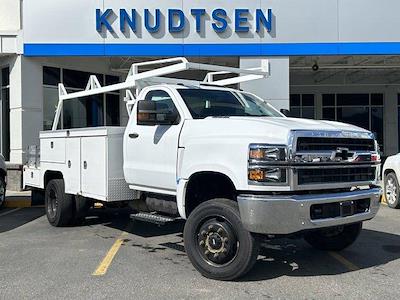 Used 2020 Chevrolet Silverado 5500 Work Truck Regular Cab 4x4, Combo Body for sale #UD2330 - photo 1