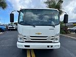 2024 Chevrolet LCF 4500HG Crew Cab 4x2, Dovetail Landscape for sale #4F223985 - photo 3