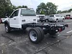 2024 Ford F-450 Regular Cab DRW 4WD, Cab Chassis for sale #F43614 - photo 4