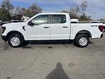 2024 Ford F-150 SuperCrew Cab 4x4, Pickup for sale #15909 - photo 5