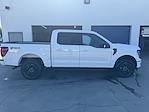 2024 Ford F-150 SuperCrew Cab 4x4, Pickup for sale #15973 - photo 6