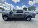 2024 Ford F-150 SuperCrew Cab 4x4, Pickup for sale #15977 - photo 5