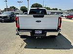 New 2024 Ford F-450 XLT Crew Cab 4x4, Pickup for sale #16101 - photo 7