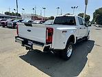 New 2024 Ford F-450 XLT Crew Cab 4x4, Pickup for sale #16101 - photo 8