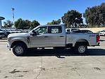 New 2024 Ford F-250 XL Crew Cab 4x4, Pickup for sale #16128 - photo 3