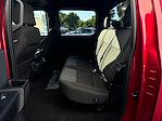 New 2024 Ford F-150 STX SuperCrew Cab 4x4, Pickup for sale #16166 - photo 25