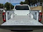 2024 Ford F-250 Crew Cab 4x4, Pickup for sale #16168 - photo 23