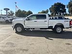 New 2024 Ford F-250 XLT Crew Cab 4x4, Pickup for sale #16216 - photo 3