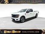 New 2024 Ford F-150 STX Super Cab 4x2, Pickup for sale #16277 - photo 1