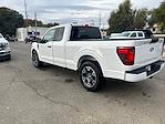 New 2024 Ford F-150 STX Super Cab 4x2, Pickup for sale #16277 - photo 2