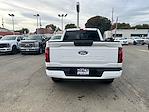 New 2024 Ford F-150 STX Super Cab 4x2, Pickup for sale #16277 - photo 4