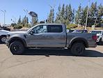 New 2024 Ford F-150 XLT SuperCrew Cab 4x4, Pickup for sale #00240974 - photo 8