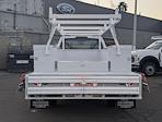 New 2024 Ford F-450 XL Regular Cab 4x2, 12' Scelzi SEC Combo Body for sale #00241152 - photo 10