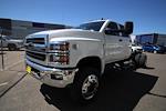 New 2024 Chevrolet Silverado 6500 Work Truck Crew Cab 4x4, Cab Chassis for sale #D140724 - photo 1