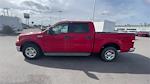 Used 2005 Ford F-150 XLT SuperCrew Cab RWD, Pickup for sale #5KE58212P - photo 12