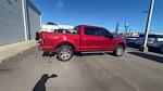 2019 Ford F-150 SuperCrew Cab 4WD, Pickup for sale #KKE49448A - photo 21