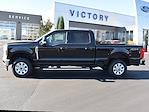 New 2024 Ford F-250 XLT Crew Cab 4x4, Pickup for sale #CR584 - photo 3