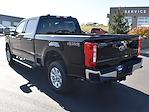 New 2024 Ford F-250 XLT Crew Cab 4x4, Pickup for sale #CR584 - photo 2