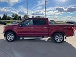 Used 2018 Ford F-150 XLT SuperCrew Cab 4x4, Pickup for sale #C0954B - photo 8