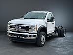 New 2024 Ford F-600 XL Regular Cab 4WD, Cab Chassis for sale #FMP24F0046 - photo 1