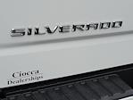 2024 Chevrolet Silverado 1500 Double Cab 4WD, Pickup for sale #RZ213417 - photo 16