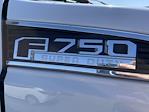 2019 Ford F-750 Regular Cab DRW 4x2, Landscape Dump #F02627C - photo 10