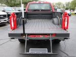 New 2024 Ford F-250 XL Regular Cab 4x4, Pickup for sale #F240653 - photo 7