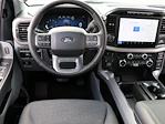 New 2024 Ford F-150 XLT SuperCrew Cab 4x4, Pickup for sale #F241033 - photo 14