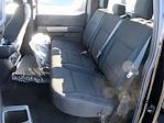 New 2024 Ford F-150 STX SuperCrew Cab 4x4, Pickup for sale #F241203 - photo 10