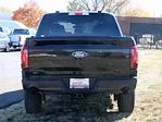 New 2024 Ford F-150 STX SuperCrew Cab 4x4, Pickup for sale #F241203 - photo 6