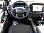 New 2024 Ford F-150 STX SuperCrew Cab 4x4, Pickup for sale #F241214 - photo 14