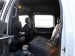 New 2024 Ford F-150 XLT SuperCrew Cab 4x4, Pickup for sale #F241227 - photo 13