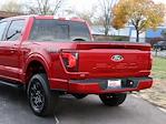 New 2024 Ford F-150 XLT SuperCrew Cab 4x4, Pickup for sale #F241267 - photo 8