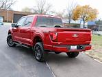 New 2024 Ford F-150 XLT SuperCrew Cab 4x4, Pickup for sale #F241267 - photo 2