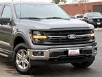 New 2024 Ford F-150 XLT SuperCrew Cab 4x4, Pickup for sale #F241280 - photo 3