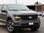 New 2024 Ford F-150 STX SuperCrew Cab 4x4, Pickup for sale #F241329 - photo 3