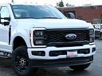 New 2024 Ford F-250 XL Crew Cab 4x4, Pickup for sale #F241351 - photo 3