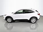 New 2024 Ford Escape Active AWD, SUV for sale #5A50030 - photo 6